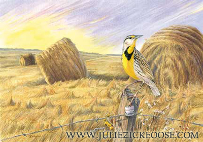 Lark in the Morning (Eastern meadowlark)