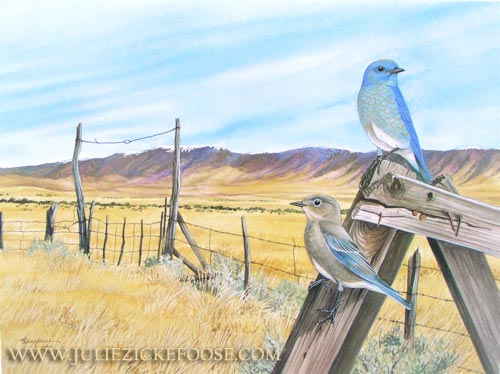 The Road to Magdalena (Mountain bluebirds)