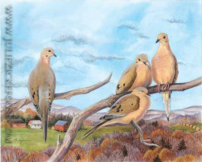 High Lonesome Doves (Mourning doves)
