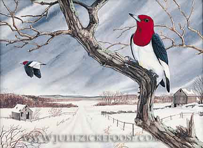 Ruby on the Morning (Red-headed woodpecker)