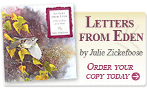 Letters From Eden: Click to Order
