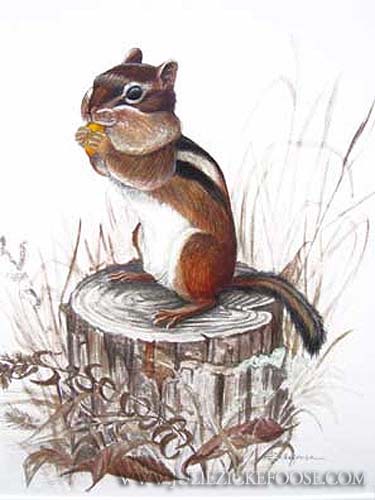Eastern chipmunk