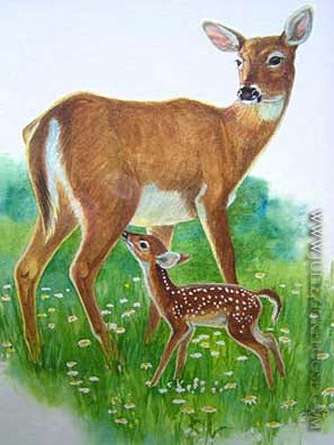 White-tailed deer, doe and fawn