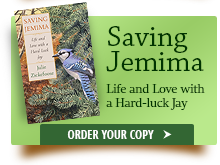 Saving Jemima. Click to Order
