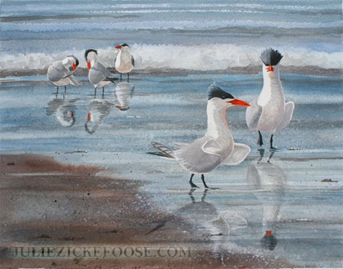 Sidelight: Caspian Terns 