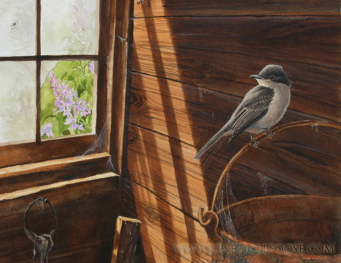 The Missing Pane: Eastern Phoebe
