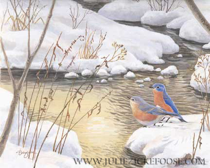 Swamp Angels (Eastern bluebirds)